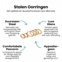 Stainless steel oorringenset &acirc;&euro;&ldquo; goudkleurig &acirc;&euro;&ldquo; 2x rond + 1x zesh
