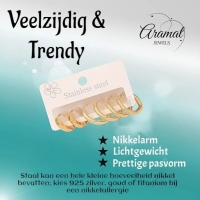 Stainless steel oorringenset &acirc;&euro;&ldquo; goudkleurig &acirc;&euro;&ldquo; 2x rond + 1x zesh