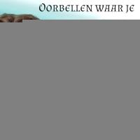 Stainless steel oorringenset &acirc;&euro;&ldquo; goudkleurig &acirc;&euro;&ldquo; 2x rond + 1x zesh