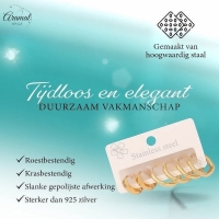 Stainless steel oorringenset &acirc;&euro;&ldquo; goudkleurig &acirc;&euro;&ldquo; 2x rond + 1x zesh