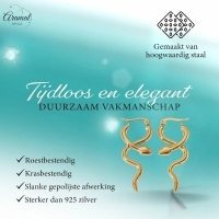 Goudkleurige stainless steel slangen oorringen glad&acirc;&euro;&ldquo; 42mm -