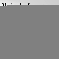 Goudkleurige stainless steel slangen oorringen glad&acirc;&euro;&ldquo; 42mm -