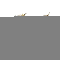 Statement oorringen dames vierkant - 27mm -