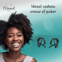 Meisje met de Parel Oorstekers Zwart RVS -