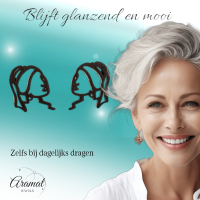 Meisje met de Parel Oorstekers Zwart RVS -