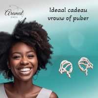 Zilverkleurige Oorstekers Meisje met de Parel -