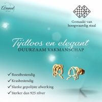 Meisje met de Parel Oorstekers Goudkleurig RVS -
