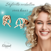 Oorstekers Meisje met de Parel &acirc;&euro;&ldquo; Ros&Atilde;&copy;kleurig RVS -