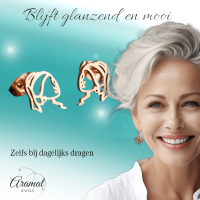 Oorstekers Meisje met de Parel &acirc;&euro;&ldquo; Ros&Atilde;&copy;kleurig RVS -
