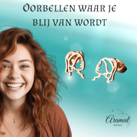 Oorstekers Meisje met de Parel &acirc;&euro;&ldquo; Ros&Atilde;&copy;kleurig RVS -