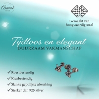 Meisjes oorbellen giraf zilverkleurig RVS -