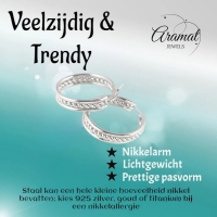 Schakel Oorringen Zilverkleurig RVS 30mm -