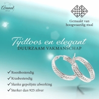 Schakel Oorringen Zilverkleurig RVS 30mm -