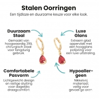 Mini Oorringetjes Meisje &acirc;&euro;&ldquo; Rode Zirkonia &acirc;&euro;&ldquo; 10mm - Goudkleur -