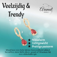 Mini Oorringetjes Meisje &acirc;&euro;&ldquo; Rode Zirkonia &acirc;&euro;&ldquo; 10mm - Goudkleur -
