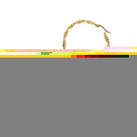 Goudkleurige twisted oorringen 30mm -