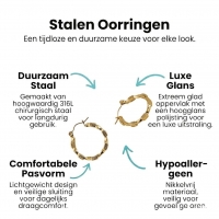 RVS Blokjes Oorringen 25x23mm Goudkleurig -