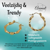 RVS Blokjes Oorringen 25x23mm Goudkleurig -