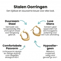 RVS Druppelvormige Oorringen met Ruitjesmotief 20x20mm -