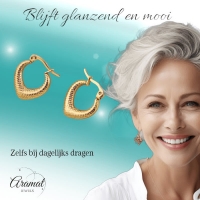 RVS Druppelvormige Oorringen met Ruitjesmotief 20x20mm -