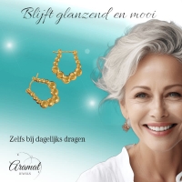 RVS Rechthoekige Oorringen met Bolletjesmotief 21x24mm -