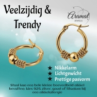 Goudkleurige RVS Bali Oorringetjes 23x22mm &acirc;&euro;&ldquo; Kleine Hoops voor Dames -