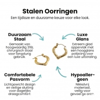Goudkleurige RVS Oorringen met Streepjes &acirc;&euro;&ldquo; 22x20mm -