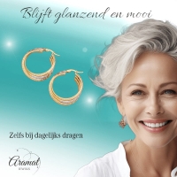 Triple Oorringen met Grieks Motief 35mm &acirc;&euro;&ldquo; Bicolor Stainless Steel -