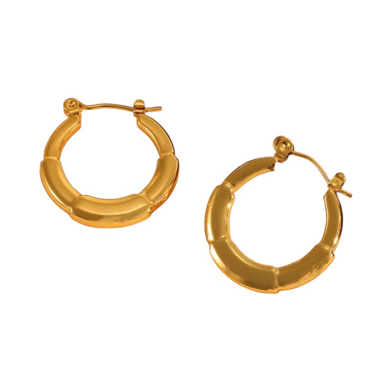 Ronde Oorringen 24x23mm &acirc;&euro;&ldquo; Goudkleurig RVS &acirc;&euro;&ldquo; Kleine Hoops -
