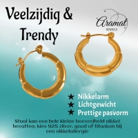 Ronde Oorringen 24x23mm &acirc;&euro;&ldquo; Goudkleurig RVS &acirc;&euro;&ldquo; Kleine Hoops -