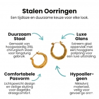 Ronde Oorringen 24x23mm &acirc;&euro;&ldquo; Goudkleurig RVS &acirc;&euro;&ldquo; Kleine Hoops -