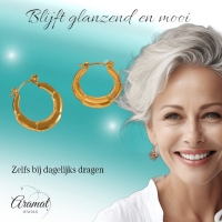 Ronde Oorringen 24x23mm &acirc;&euro;&ldquo; Goudkleurig RVS &acirc;&euro;&ldquo; Kleine Hoops -