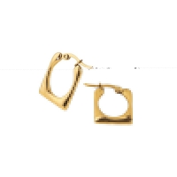Rechthoekige Oorringen 23x16mm &acirc;&euro;&ldquo; Goudkleurig RVS &acirc;&euro;&ldquo; Gladde Fini