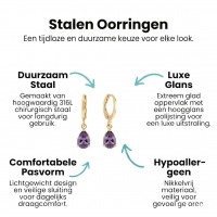 Goudkleurige Mini Oorringetjes Meisje &acirc;&euro;&ldquo; Paarse Zirkonia &acirc;&euro;&ldquo; 10mm