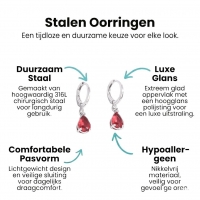 Mini Oorringetjes voor Meisjes &acirc;&euro;&ldquo; Rood Zirkonia &acirc;&euro;&ldquo; 10mm -