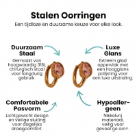 Mini Oorringen Goudkleurig &acirc;&euro;&ldquo; Roze Zirkonia &acirc;&euro;&ldquo; 15mm -