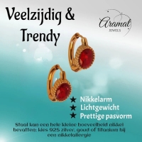 Mini Oorringen RVS Goudkleur &acirc;&euro;&ldquo; 15mm &acirc;&euro;&ldquo; Rode Ovale Zirkonia -