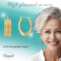 Gourmet Schakel Oorringen RVS Goudkleurig &acirc;&euro;&ldquo; 25x18mm &acirc;&euro;&ldquo; Ovaal -