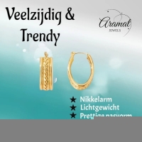Gourmet Schakel Oorringen RVS Goudkleurig &acirc;&euro;&ldquo; 25x18mm &acirc;&euro;&ldquo; Ovaal -