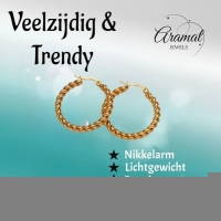 Ronde Oorringen RVS Goudkleurig &acirc;&euro;&ldquo; 30mm &acirc;&euro;&ldquo; Dubbel Gedraaid Motie