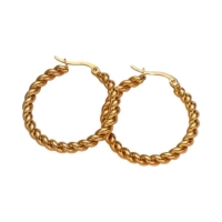 Ronde Oorringen RVS Goudkleurig &acirc;&euro;&ldquo; 30mm &acirc;&euro;&ldquo; Dubbel Gedraaid Motie