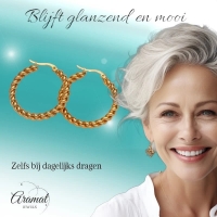 Ronde Oorringen RVS Goudkleurig &acirc;&euro;&ldquo; 30mm &acirc;&euro;&ldquo; Dubbel Gedraaid Motie