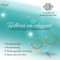 Ronde Oorringen RVS Goudkleurig &acirc;&euro;&ldquo; 25mm &acirc;&euro;&ldquo; Gedraaid Motief -
