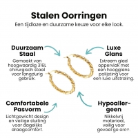 Ronde Oorringen RVS 30mm &acirc;&euro;&ldquo; Goudkleurig met Gedraaid Motief -