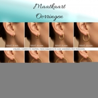 Ronde Oorringen RVS Goudkleurig &acirc;&euro;&ldquo; 25x3,5mm &acirc;&euro;&ldquo; Wikkelmotief Creo