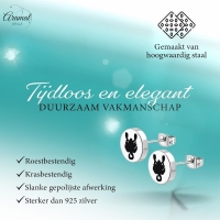 Schorpioen Oorbellen RVS Zilverkleurig &acirc;&euro;&ldquo; 8mm &acirc;&euro;&ldquo; Uniseks Diereno