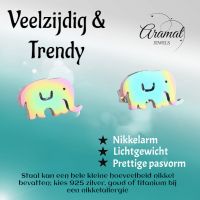 Olifant Oorbellen Regenboogkleurig RVS &acirc;&euro;&ldquo; 10x6mm &acirc;&euro;&ldquo; Meisje Diere