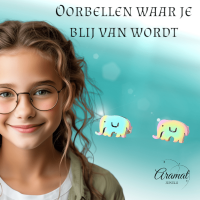 Olifant Oorbellen Regenboogkleurig RVS &acirc;&euro;&ldquo; 10x6mm &acirc;&euro;&ldquo; Meisje Diere