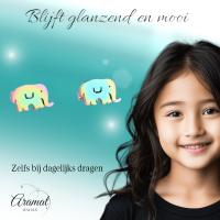 Olifant Oorbellen Regenboogkleurig RVS &acirc;&euro;&ldquo; 10x6mm &acirc;&euro;&ldquo; Meisje Diere