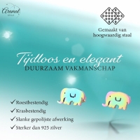 Olifant Oorbellen Regenboogkleurig RVS &acirc;&euro;&ldquo; 10x6mm &acirc;&euro;&ldquo; Meisje Diere
